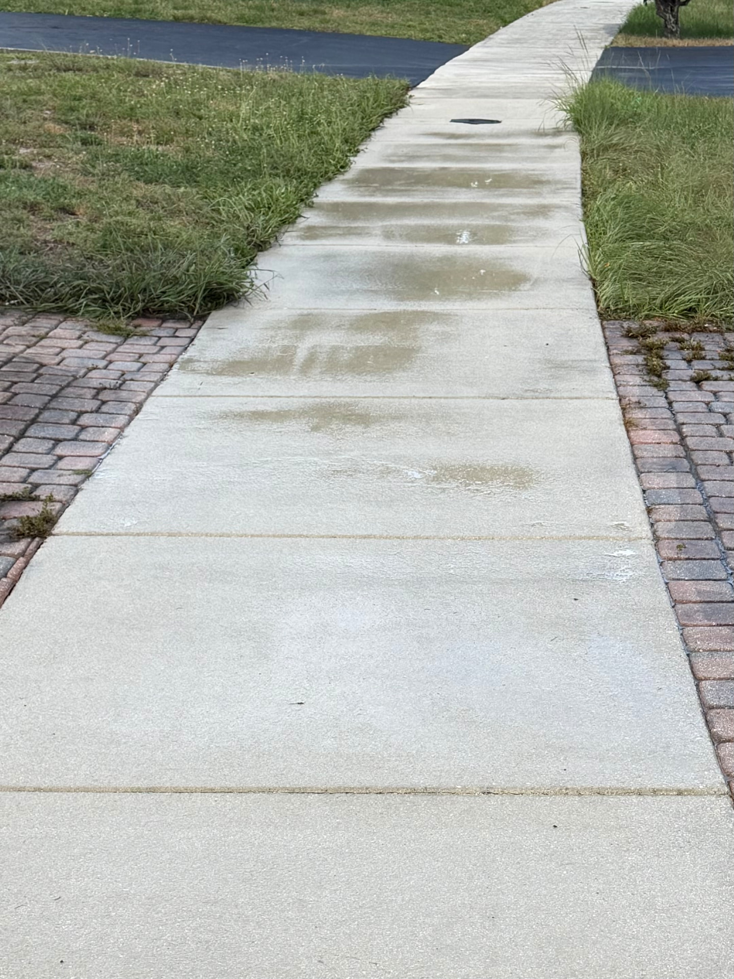Freshly cleaned community sidewalk between paver borders